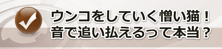 �E���R�����Ă��������L�I���Œǂ���������Ė{���ł����H